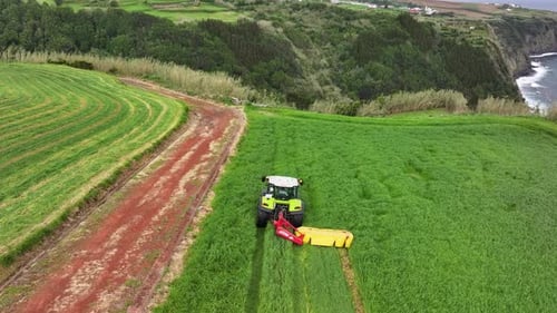 Le ray-grass céréalier est fauché à l'aide d'un tracteur pour faire de l'ensilage ou du foin, aérien