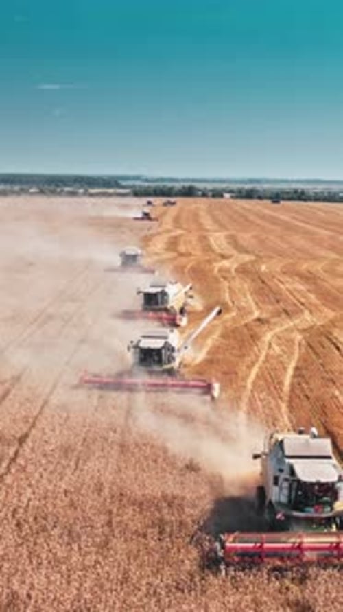 Vertical View Of Harvesting in Agricultural Field