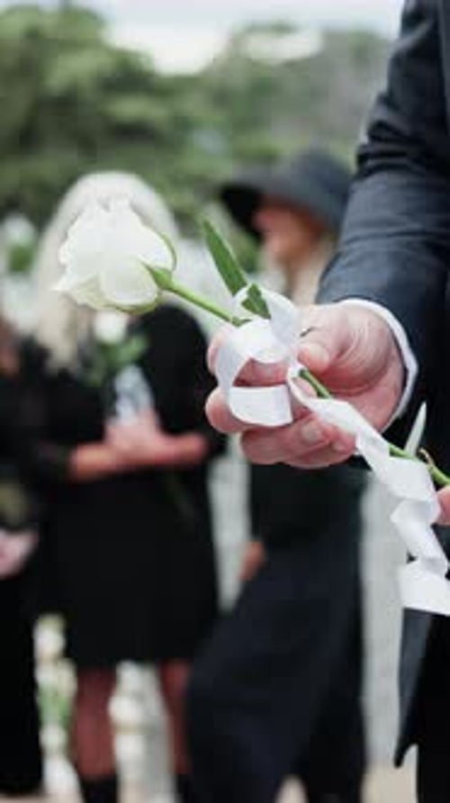 Man, hands and flower in graveyard with funeral, people mourning and burial ceremony for final