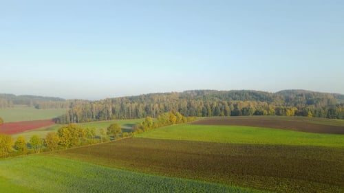 Aerial view of rural farmland and forest rolling hills on blue sky summer day