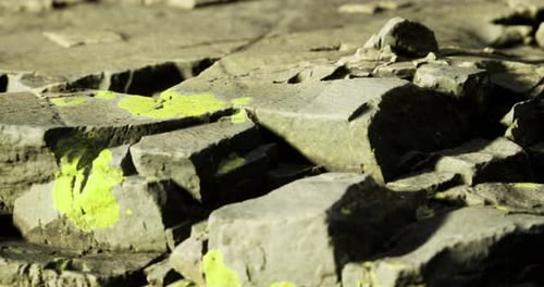 Natural Rock Formation with Vibrant Moss in Sunlight Revealing Texture