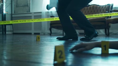 Crime Scene Evidence Examination in a Modern Home
