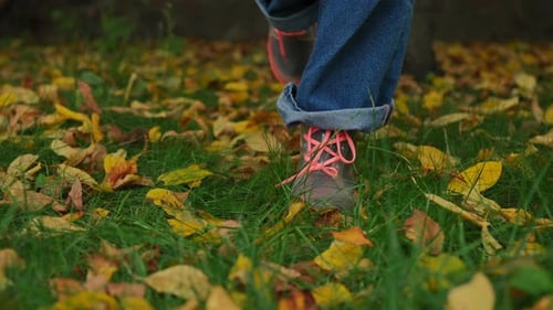 Closeup Front View Female Feet on Green Grass with Yellow Fallen Leaves
