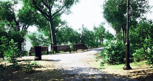 Peaceful Park Path with Benches Surrounded By Lush Greenery on a Sunny Day