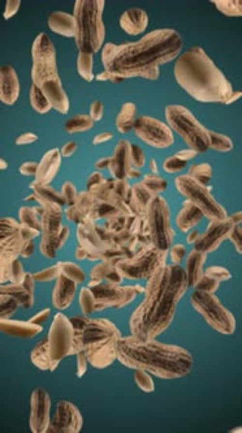 Dynamic Falling Peanuts Animation for Food and Beverage