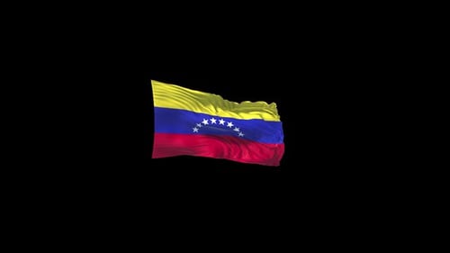 Waving Flag of Venezuela Seamless Loop Animation