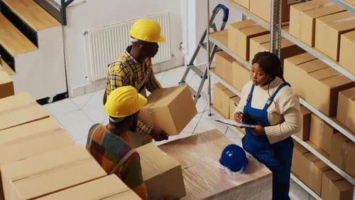 Warehouse Workers Inventorying Cardboard Boxes in Warehouse