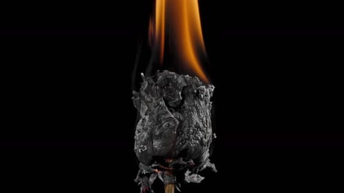 Burning Rose with Dark Aesthetic