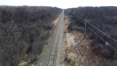 Ein Wald ohne Blätter im Winter und eine Eisenbahnstrecke ohne Zug