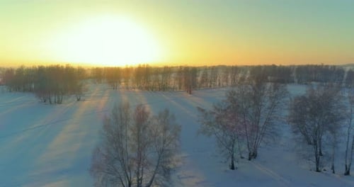 Aerial Drone View of Cold Winter Landscape with Arctic Field Trees Covered with Frost Snow and