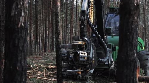 A powerful forestry harvester, operating in a wintry forest, uses its large mechanical arm to grasp