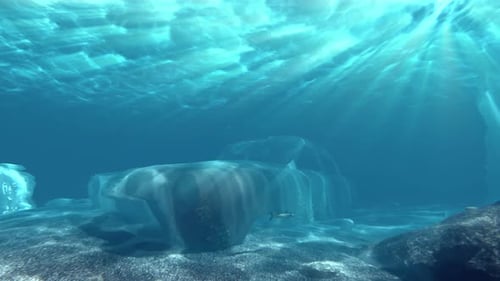 Underwater Car Wreck
