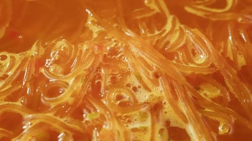 Noodles and Broth Close Up