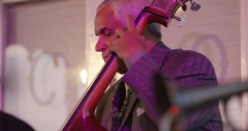 New Orleans, Louisiana / USA - May 14th 2018: Upright Bass Player,