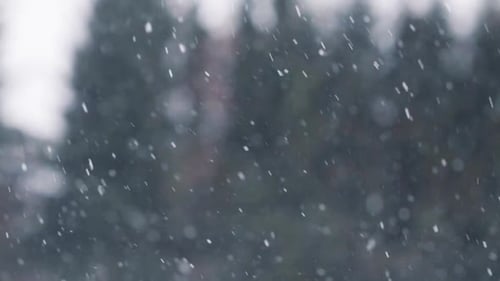 Winter, Weather, Season and Atmospheric Condensation Concept - Snow or Snowfall Outdoors Atmospheric