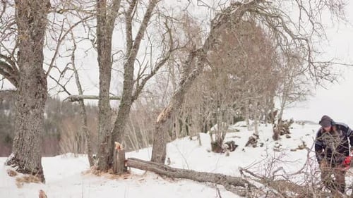 Man Cutting Tree in Snowy Winter Landscape