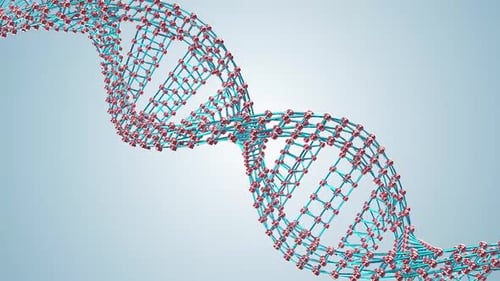 Animated 3D DNA Double Helix Structure Rotating Loop