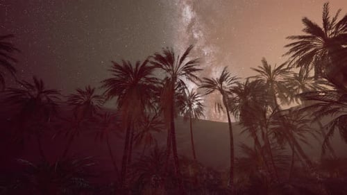 Night Scene with Silhouette Hut and Coconut Tree with Milky Way Galaxy in Sky