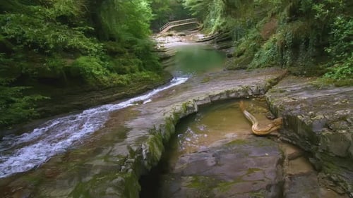 A Small Mountain River Flows in the Jungle