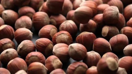Pile of Hazelnuts in Close-Up
