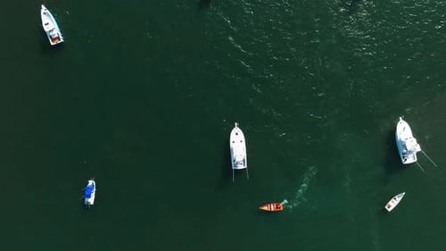 Aerial Top Down View of a Sailing Boat Anchored on a Emerald Reef