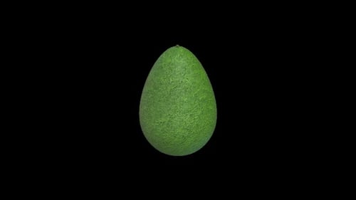 Realistic Green Avocado on Black Background