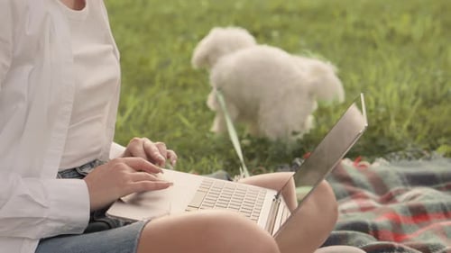Woman Working on Laptop with Dog in Park