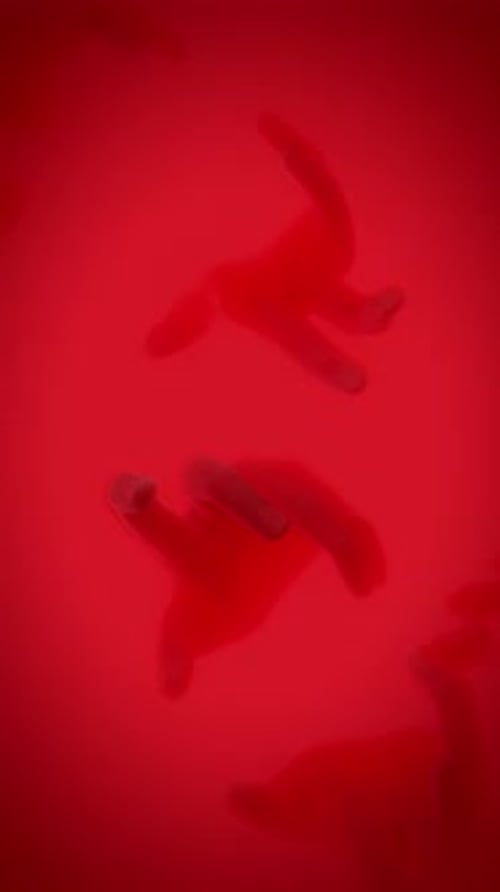 Abstract Red Fluid Organic Shapes Flowing Motion Background