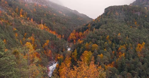 Close up detail timelapseof waterfall and trees in Ordesa national park valley on a cloudy rainy and