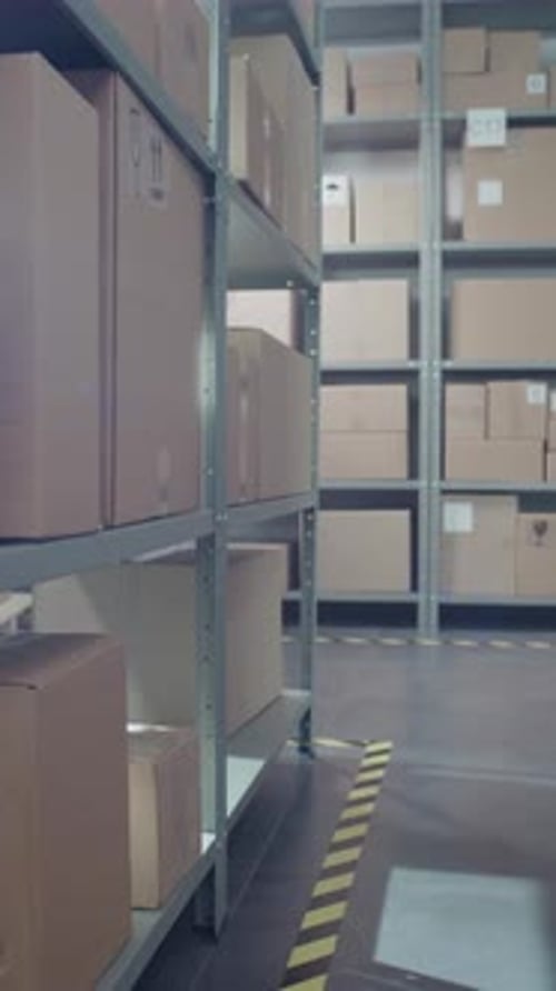 Installation de tri : stockage de la boutique en ligne avec commandes de commerce électronique dans des boîtes en carton