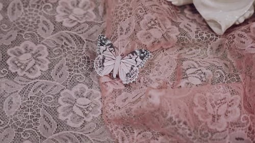 Delicate butterfly on pink lace fabric, elegant and detailed texture