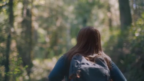 Back view of a hiker walking down the path in the woods
