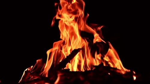 Thin branches of tree burn in the campfire. Orange flames moving quickly in the darkness.