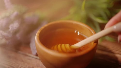 A Person is Dipping Wooden Spoon in Honey Golden Fresh Honey is Pouring From Stick Organic