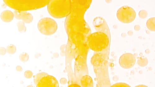 Slow Motion of Moving Yellow Golden Oil Air Bubbles in Water Rising Up on Light White Background