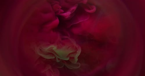 Abstract Pink and Green Ink Swirls