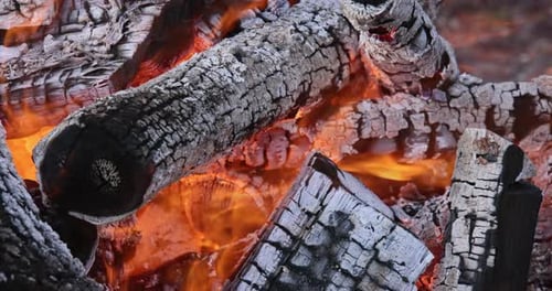 Ascheglut des Lagerfeuers, nachdem das Feuer verbrannt und das Holz für das Grillen vorbereitet wurde