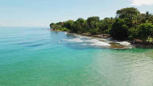 Tropical coastline with palm trees and turquoise sea on sunny day at Playa Cocles Puerto Viejo Costa