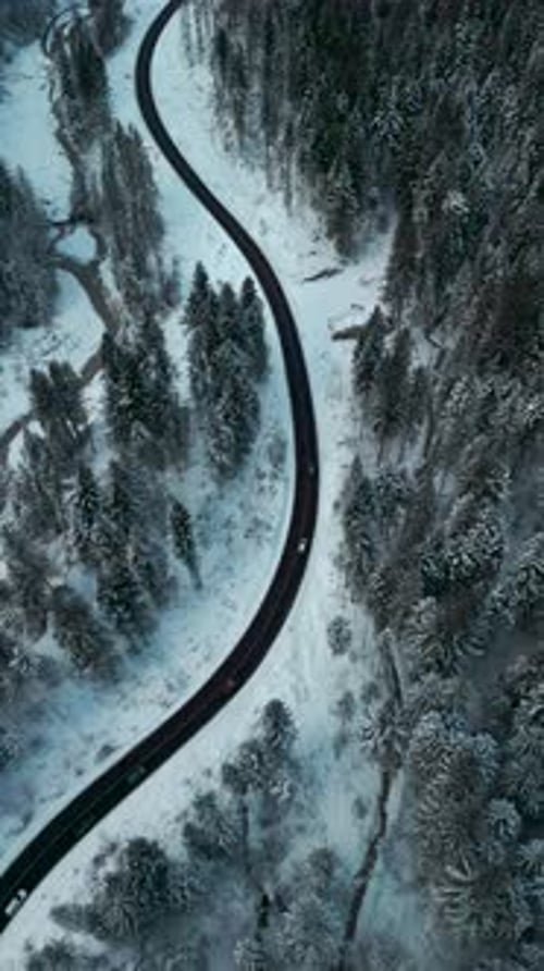 4k vertical aerial footage of a road in a snowy forest, Dolomites