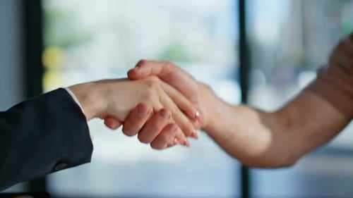 Unknown Business Partners Shaking Hands in Office Closeup Trustworthy Handshake
