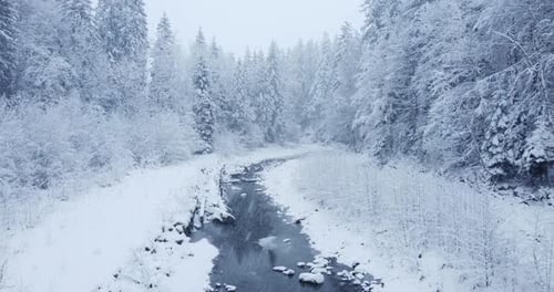 Snowy Stream Flows Through Winter Forest