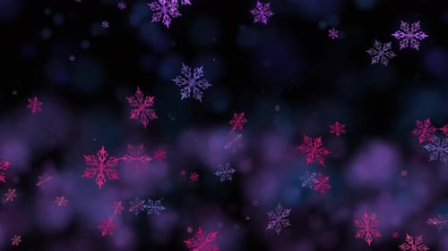 Snowflake and Flash Video