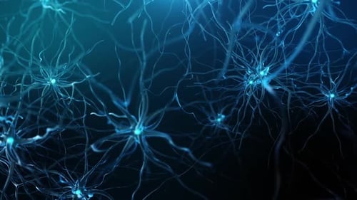 Digital Brain Neurons and Synapses Neural Network Background