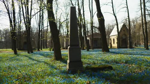 Cimetière avec obélisque, arbres, fleurs bleues, paysage naturel