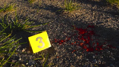 Ground view around traces of dripped blood on sandy field floor and crime evidence marker, sunny day