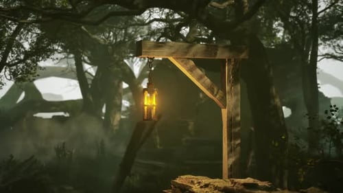 Lamp Illuminating Dark Forest