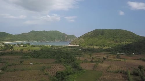 Aerial flyover of rice fields toward Areguling Beach on Lombok, IDN