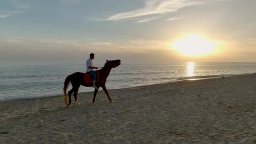Aerial View Equestrian Sunset Horseback Ride Along the Mediterranean