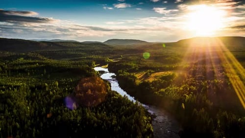 Aerial View Of Beautiful Forest And River At Sunset