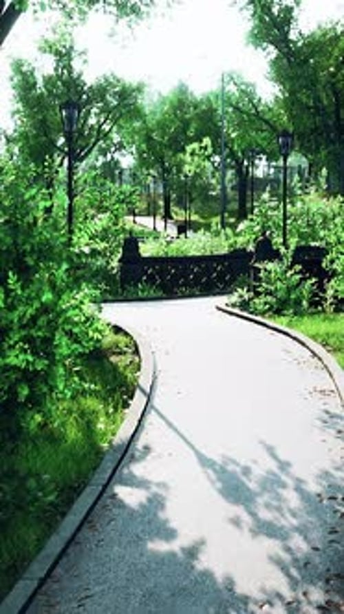 Vertical Walking Through a Serene Green Park Pathway